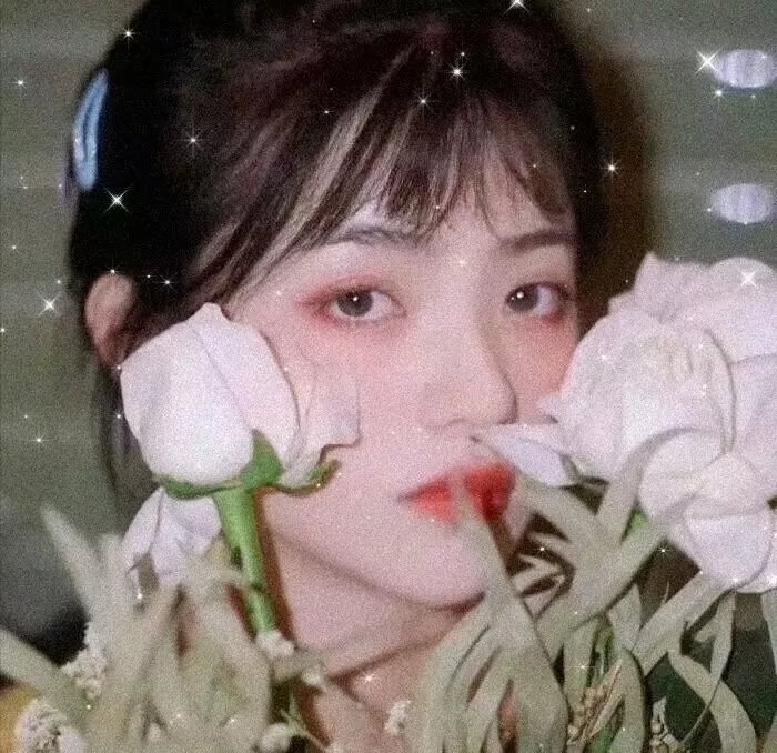 硫磺泉镇的秘密第三季